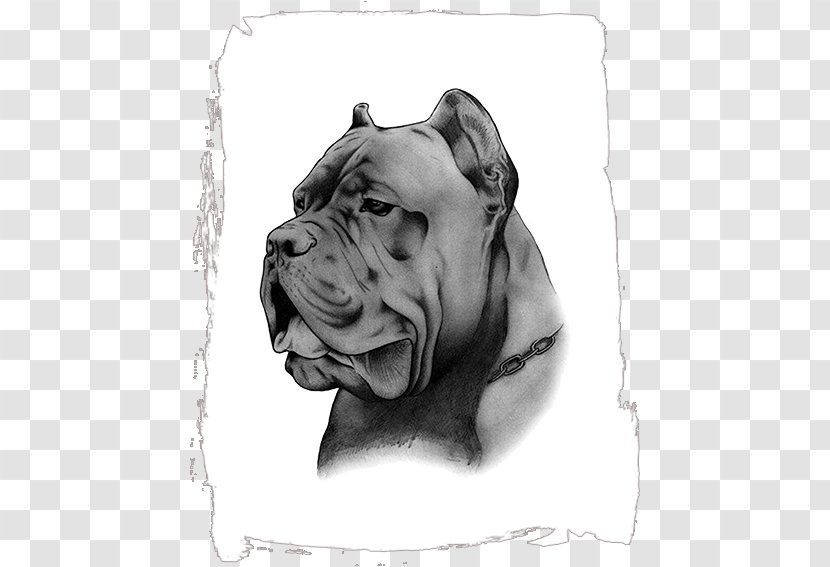 Cane Corso Dog Breed Pit Bull Non-sporting Group Sales Transparent PNG
