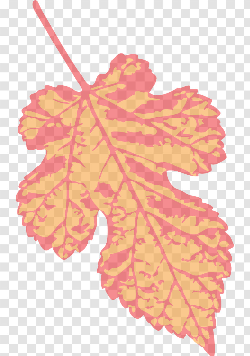 Maple Leaf Transparent PNG