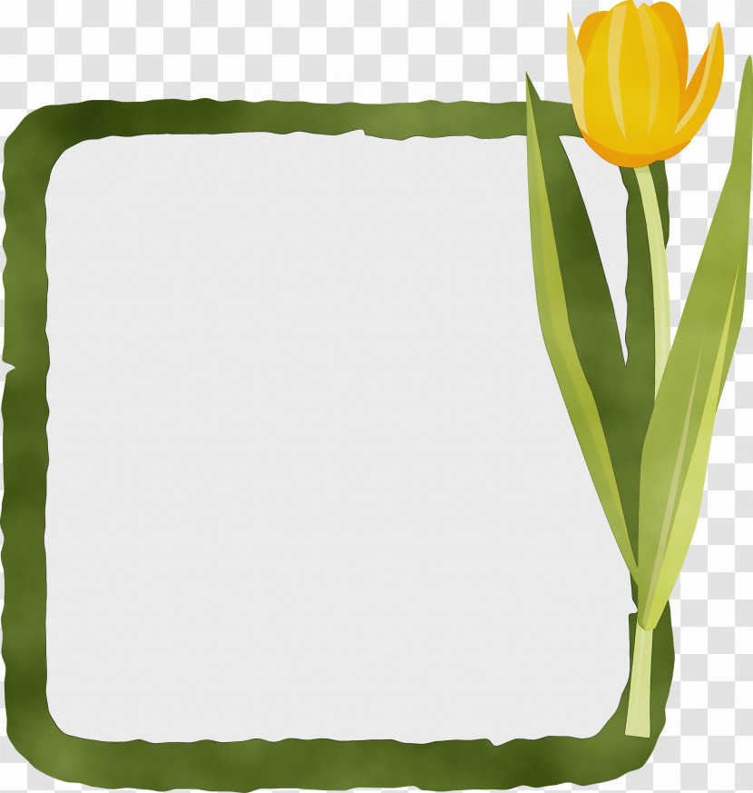 Flower Plant Stem Leaf Rectangle Tulip Transparent PNG