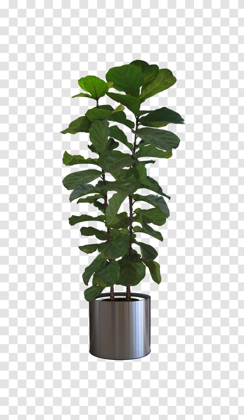 Icon - Leaf - Potted Plants Transparent PNG