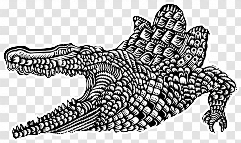 Crocodiles Alligators Animal Drawing - Mythical Creature - Crocodile Transparent PNG