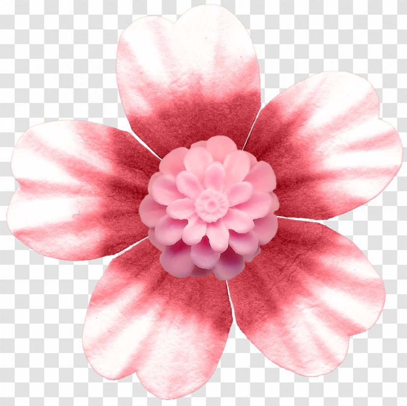 Pink Button Flower Rose - Blossom - Buttons Transparent PNG