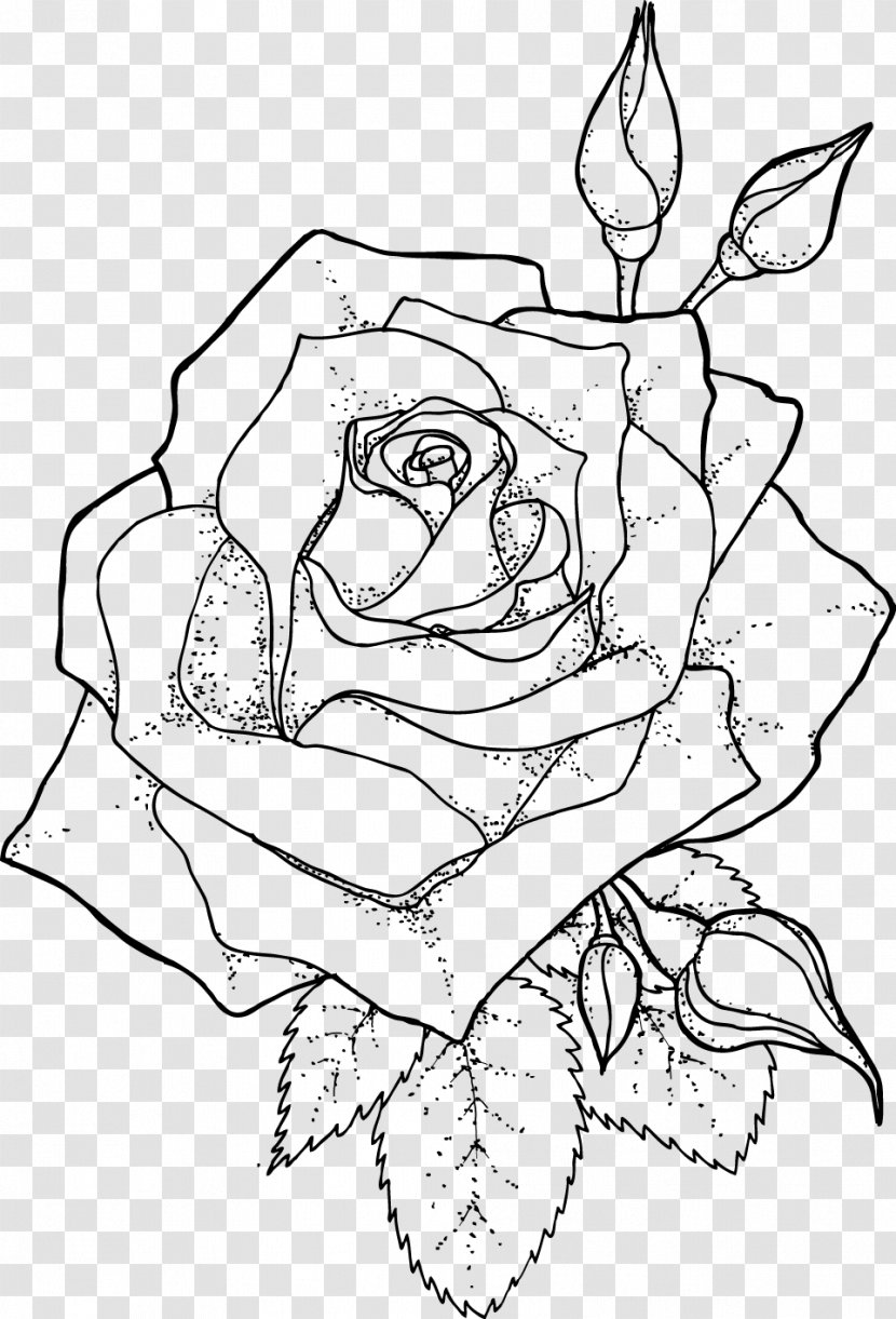 Drawing Line Art Coloring Book - Tree - Rose Outline Transparent PNG