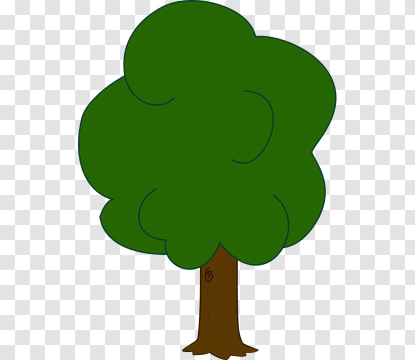 Draw Trees Oak Drawing Clip Art - Flowering Plant - Tree Transparent PNG