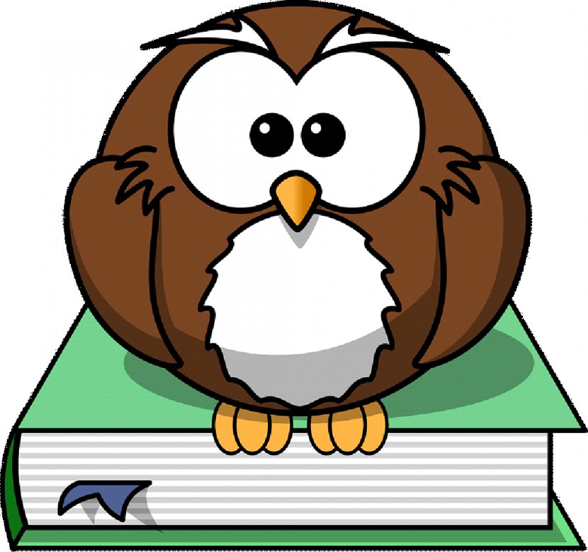 Tawny Owl Bird Clip Art - Cartoon Transparent PNG