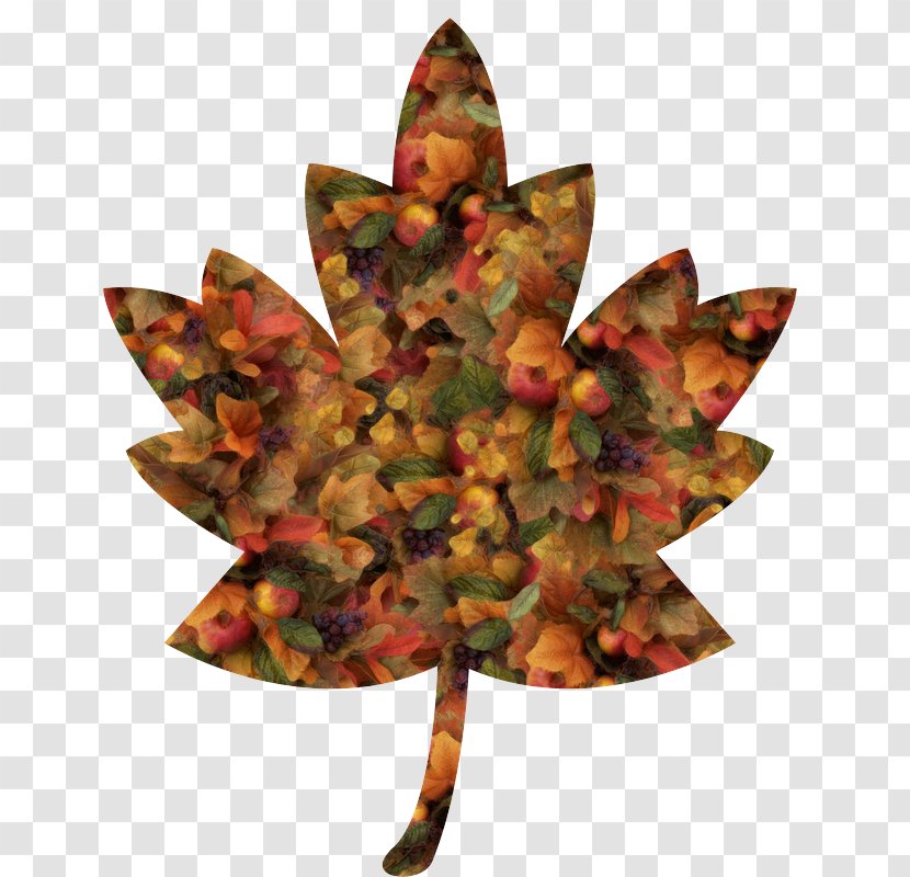 Maple Leaf - Perennial Plant Plane Transparent PNG