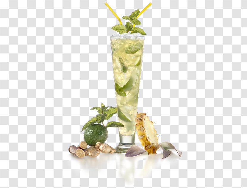 Mojito Rum Cocktail Garnish Punch - Jus D'ananas Transparent PNG