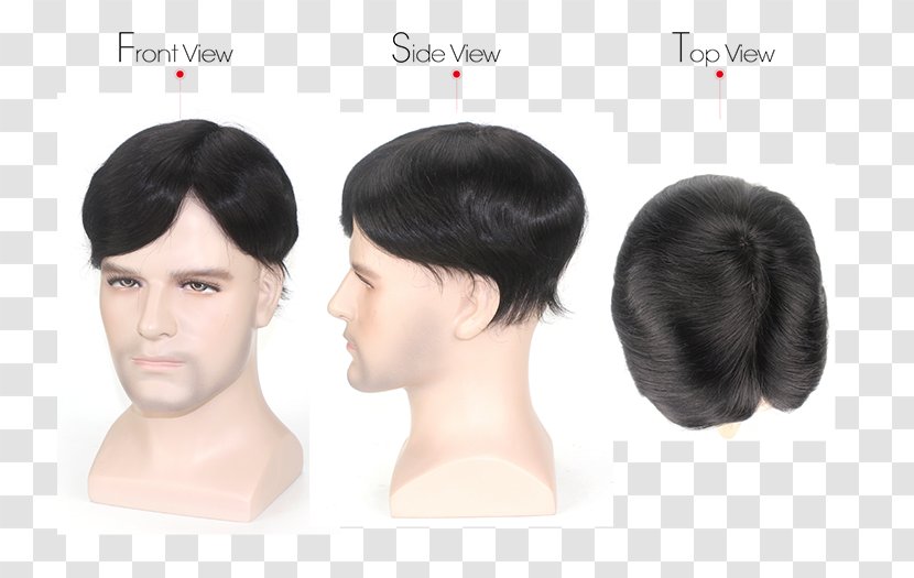Wig Chin Jaw Ear Forehead - Homo Sapiens Transparent PNG