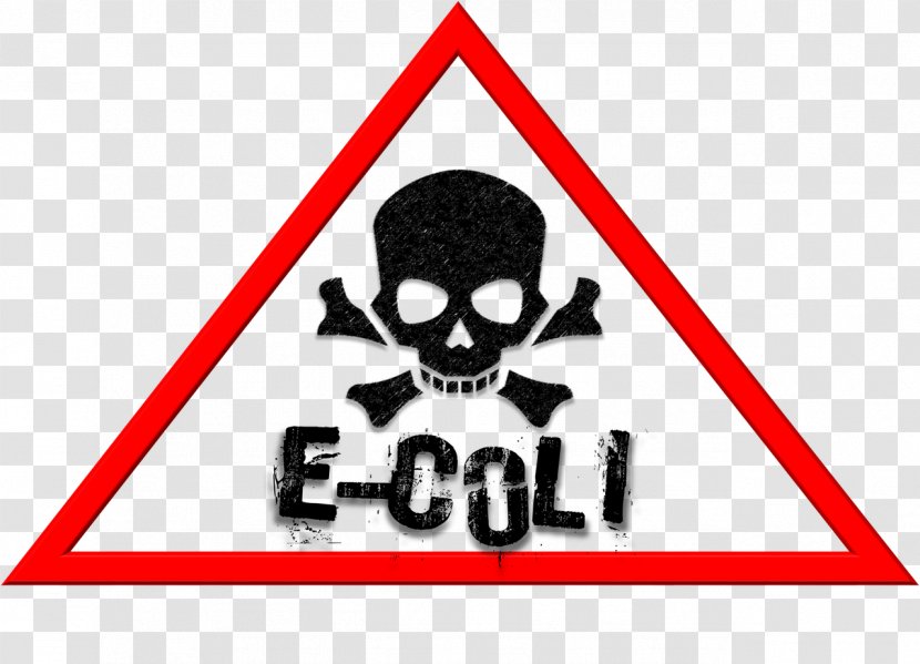 E. Coli Food Poisoning Coliform Bacteria Disease - Escherichia Infections - Poison Transparent PNG