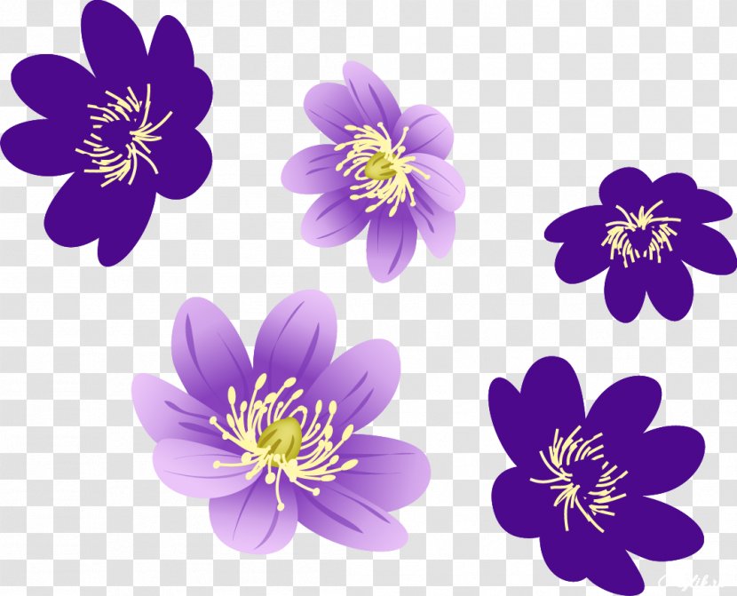 Video Image Desktop Wallpaper Flower - Viola Transparent PNG