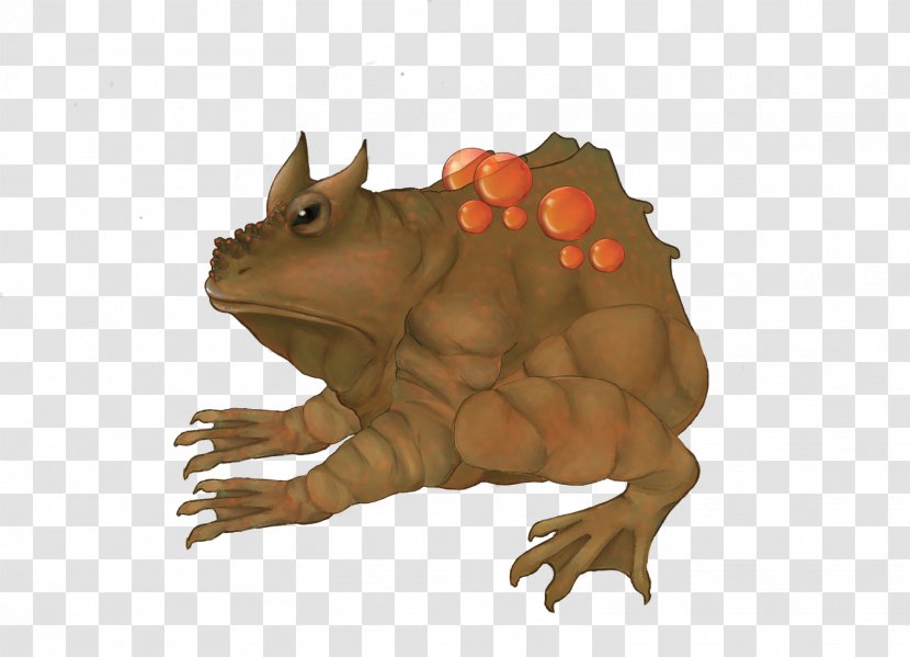 Toad Reptile Terrestrial Animal Snout Character Transparent PNG