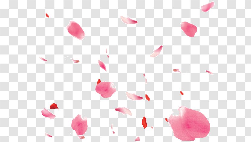Petal - Pink - Floating Petals Transparent PNG