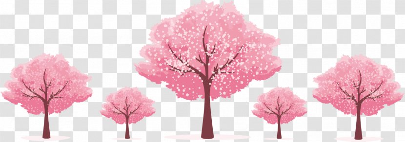 Cherry Blossom Template Microsoft PowerPoint - Flower - Pink Tree Transparent PNG