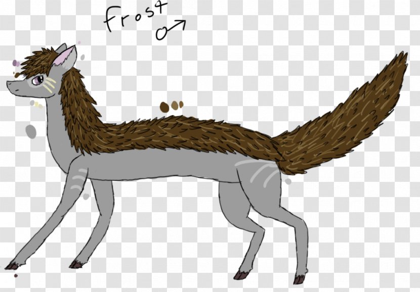 Canidae Deer Horse Camel Mammal - Like Transparent PNG