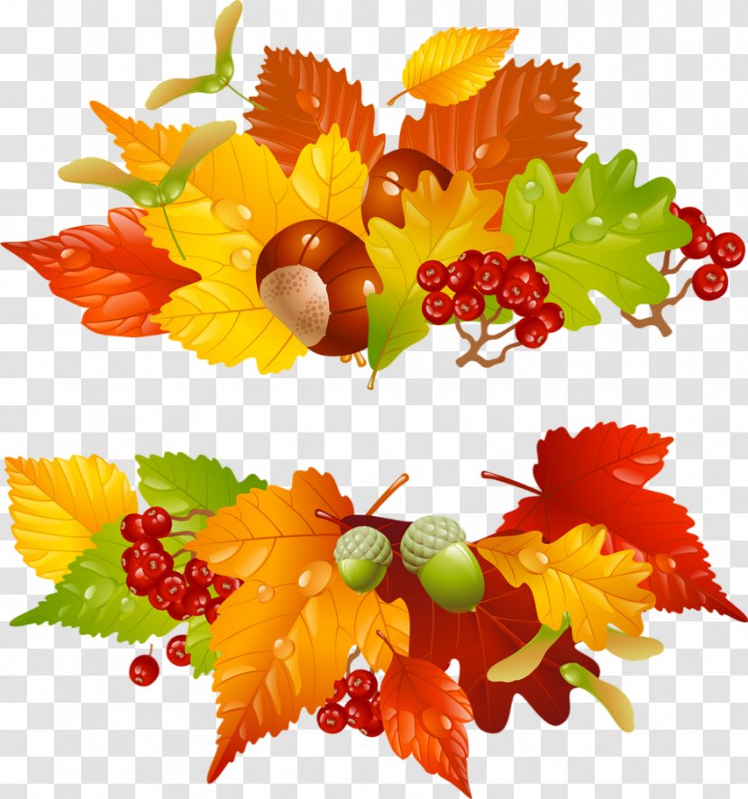 Clip Art Autumn Wreath Image Vector Graphics - Flower Transparent PNG