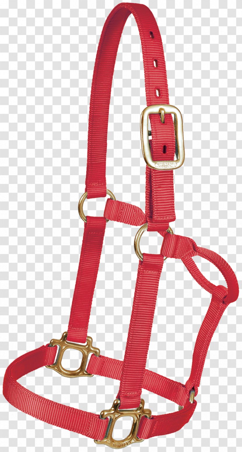 Halter Leash Lead Leather Nylon - Rope Transparent PNG
