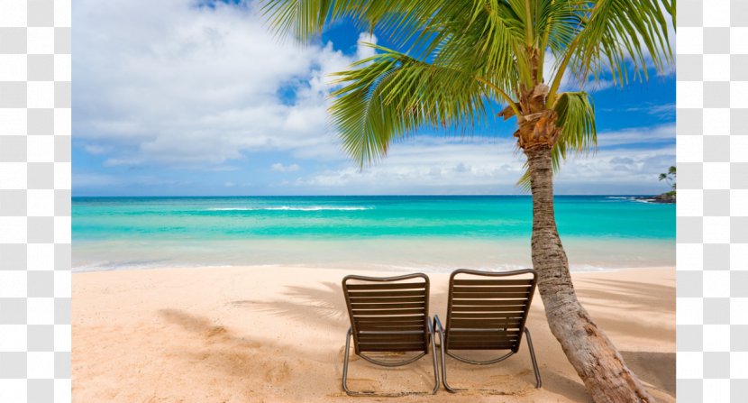 Beach Waikiki Desktop Wallpaper Tropical Islands Resort Summer Vacation - Computer Transparent PNG