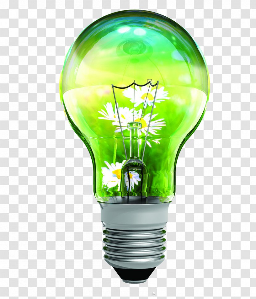 Efficient Energy Use Conservation Efficiency Home Rating - Environmentally Friendly - Bulb Greenery Transparent PNG