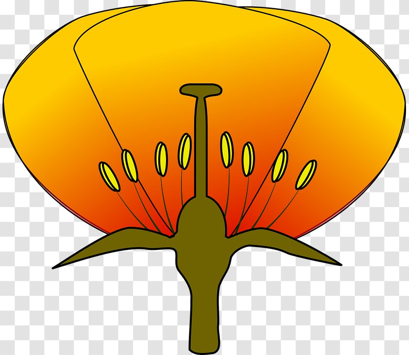 Diagram Flower Clip Art - Symbol Transparent PNG