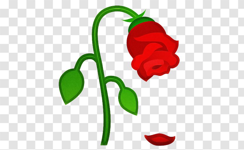 Flower With Stem - Emoji - Tulip Chili Pepper Transparent PNG