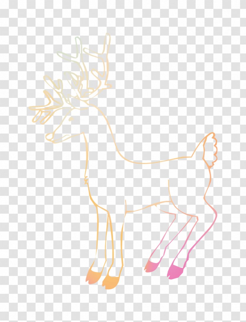 Reindeer Illustration Drawing /m/02csf Antler - Tail - M02csf Transparent PNG