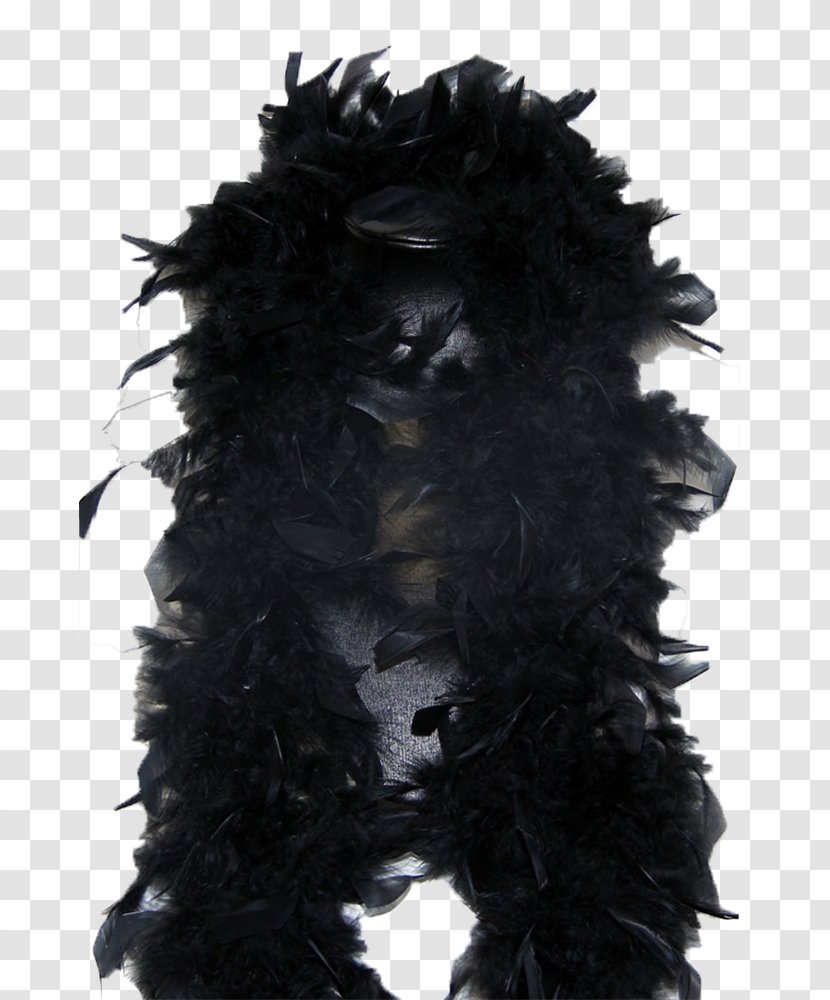 Feather Boa Transparent PNG