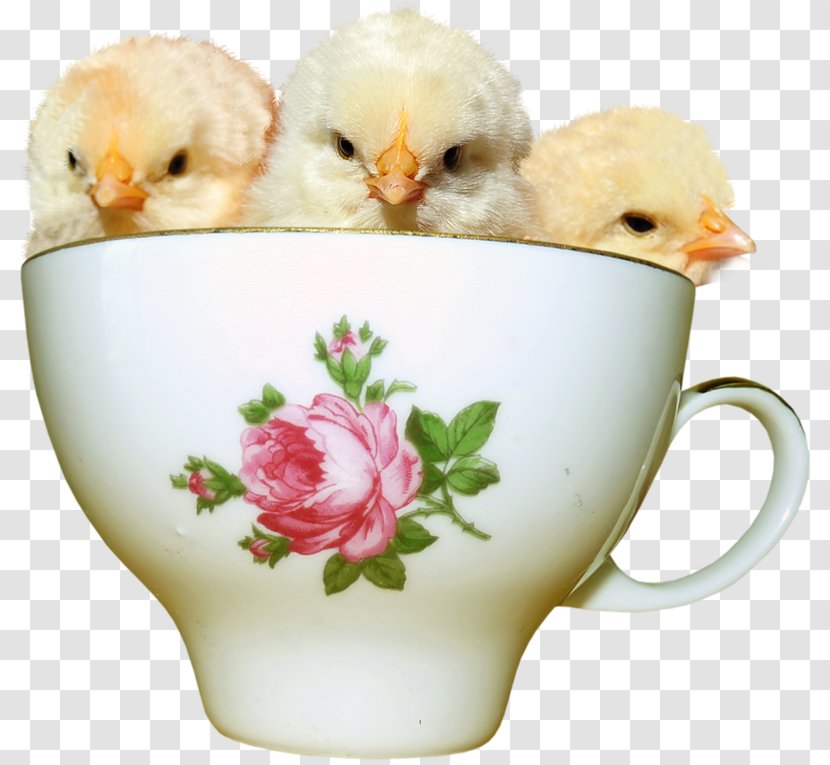 Easter Clip Art - Coffee Cup Transparent PNG