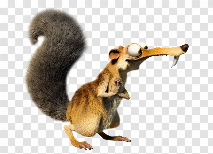 Scrat Manfred Ice Age Film Animation - Fauna - Squirrel Transparent PNG