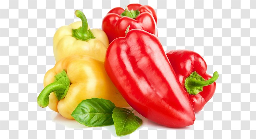 Capsicum Chili Pepper Bell Vegetable Black Transparent PNG