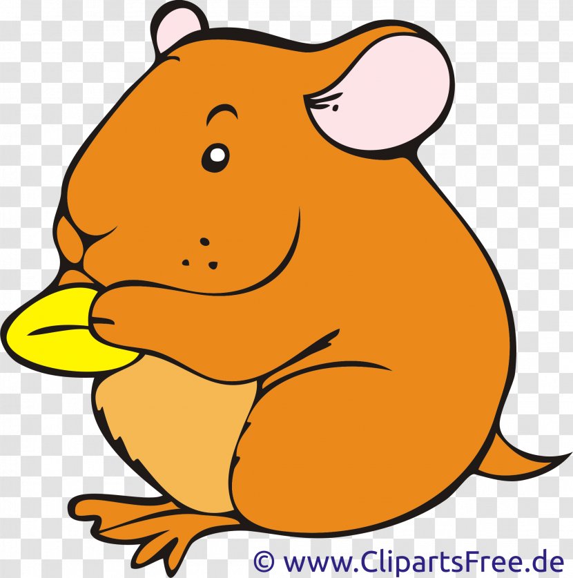 Your Hamster Clip Art - Website - Food Cliparts Transparent PNG