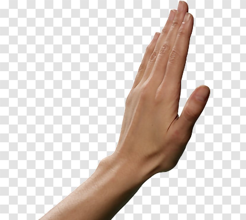 Open Hands Finger - Information - Hand Transparent PNG