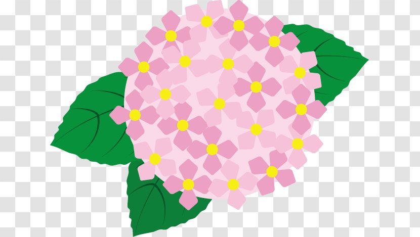 Illustration Hakusanji French Hydrangea Royalty-free Design - Petal - Isehara Shiritsu Junior High School Transparent PNG