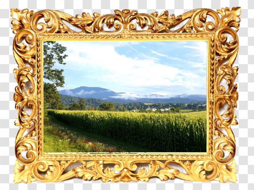 Picture Frames Rectangle Laura Biagiotti - Mirror Transparent PNG