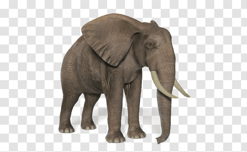 African Bush Elephant Clip Art - Terrestrial Animal Transparent PNG