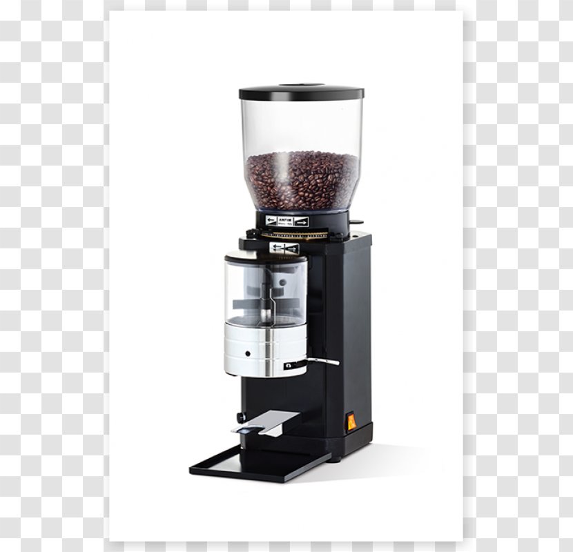 Coffee Cafe Espresso Cappuccino Cold Brew - Bean Transparent PNG