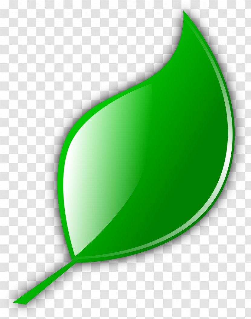 Green Tea Leaf Clip Art - Leaf, Leave Icon Transparent PNG