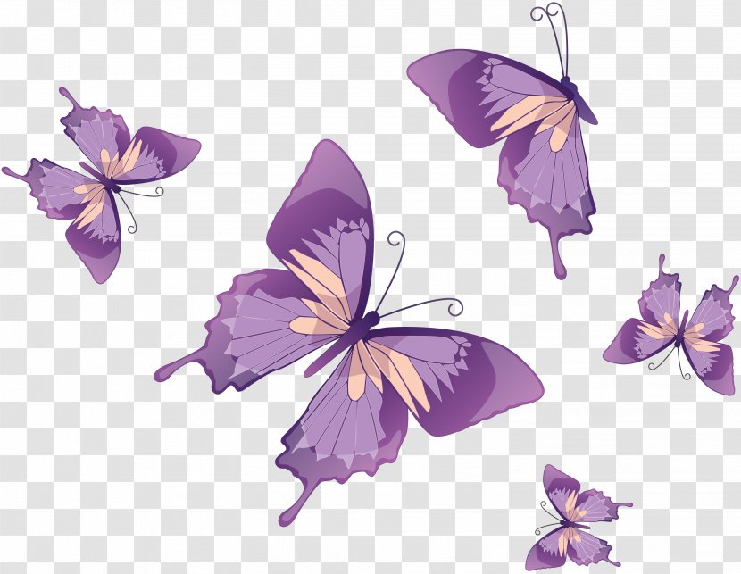 Butterfly Royalty-free Clip Art - Lavender Transparent PNG