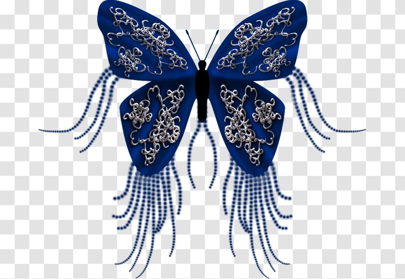 Cobalt Blue Moth - Butterfly - Jar Transparent PNG
