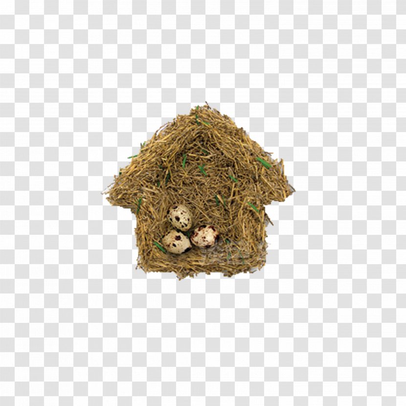 Bird Download - Camouflage - House Nest Transparent PNG