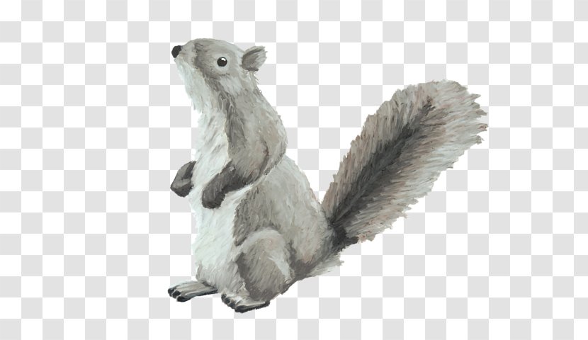 Squirrel Cartoon - Grey - Animation Tail Transparent PNG