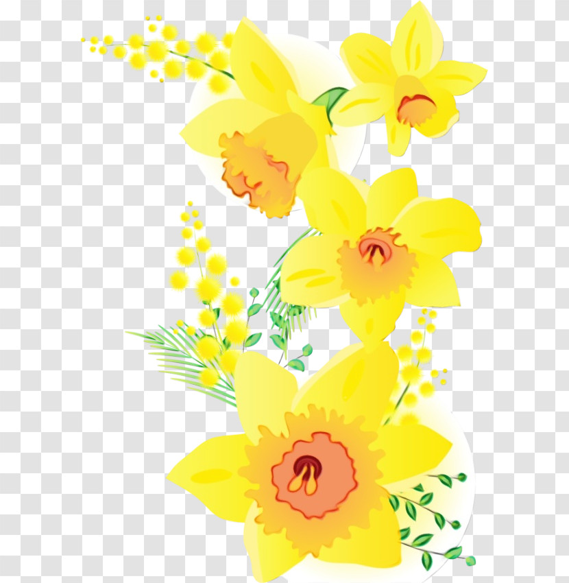 Floral Design Transparent PNG