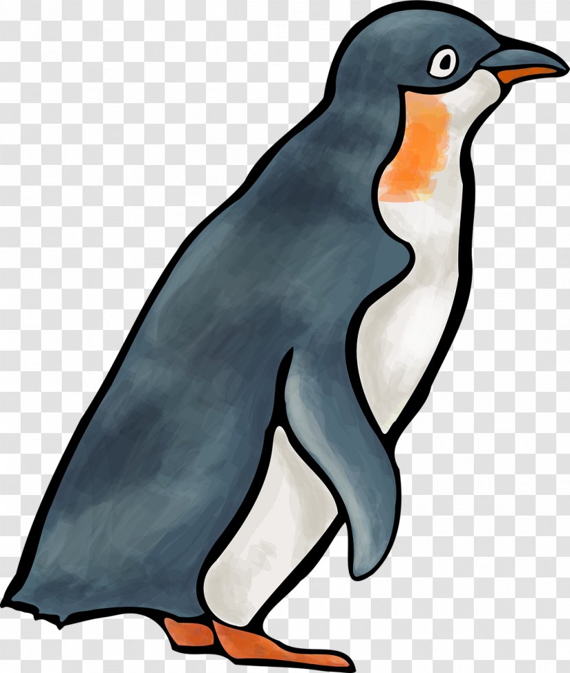 Penguin Flightless Bird Animal - Idea Transparent PNG