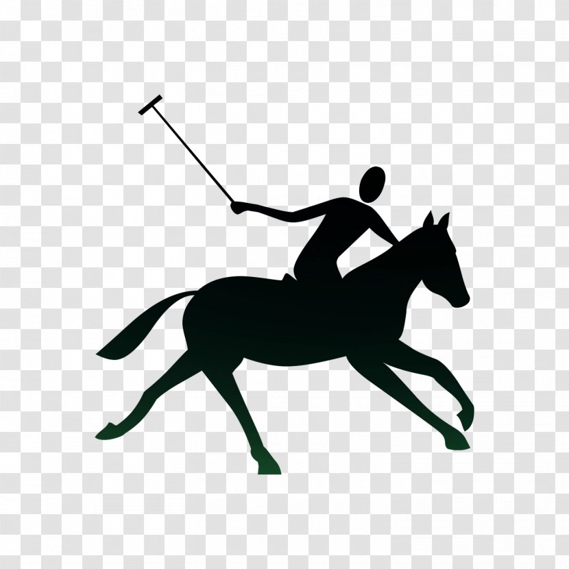 Polo Equestrian Royalty-free Vector Graphics Stock Photography - Vaulting - Bridle Transparent PNG