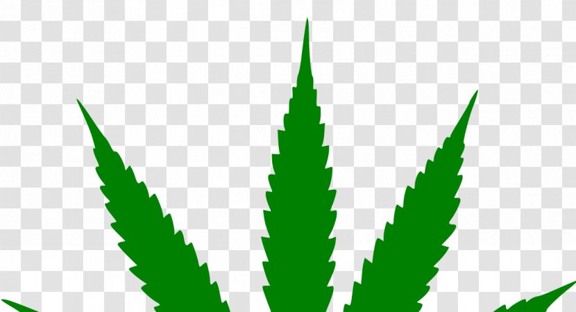 Hash, Marihuana & Hemp Museum Medical Cannabis Joint Sativa - Tree Transparent PNG