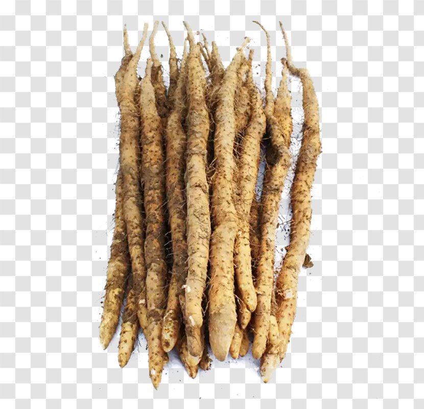 Chinese Yam Vegetable - Iron Transparent PNG