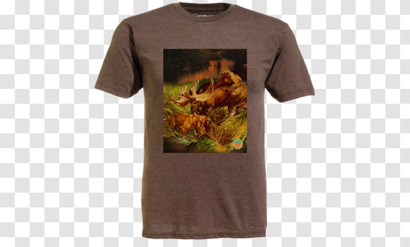 Long-sleeved T-shirt Amazon.com Clothing - Tshirt Transparent PNG