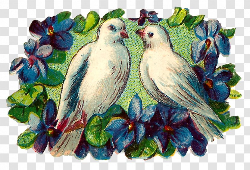 Clip Art Bird Image Openclipart Romance - Watercolor Painting Transparent PNG