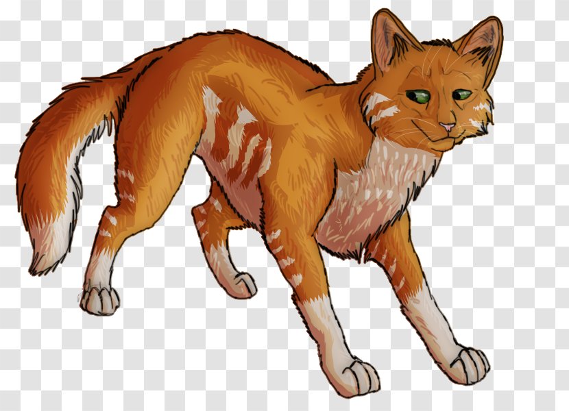 Whiskers Red Fox Cat Dhole Fauna Transparent PNG