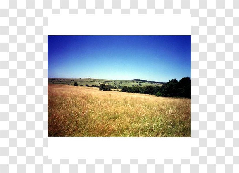 Ecoregion Land Lot Grassland Sunlight Real Property - Sky Plc - Herman TÃ¸mmeraas Transparent PNG