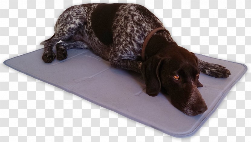 AniMat Cool Gel Mat Dark Blue Nylon Dog Breed Bed - Original Pound Puppies Transparent PNG